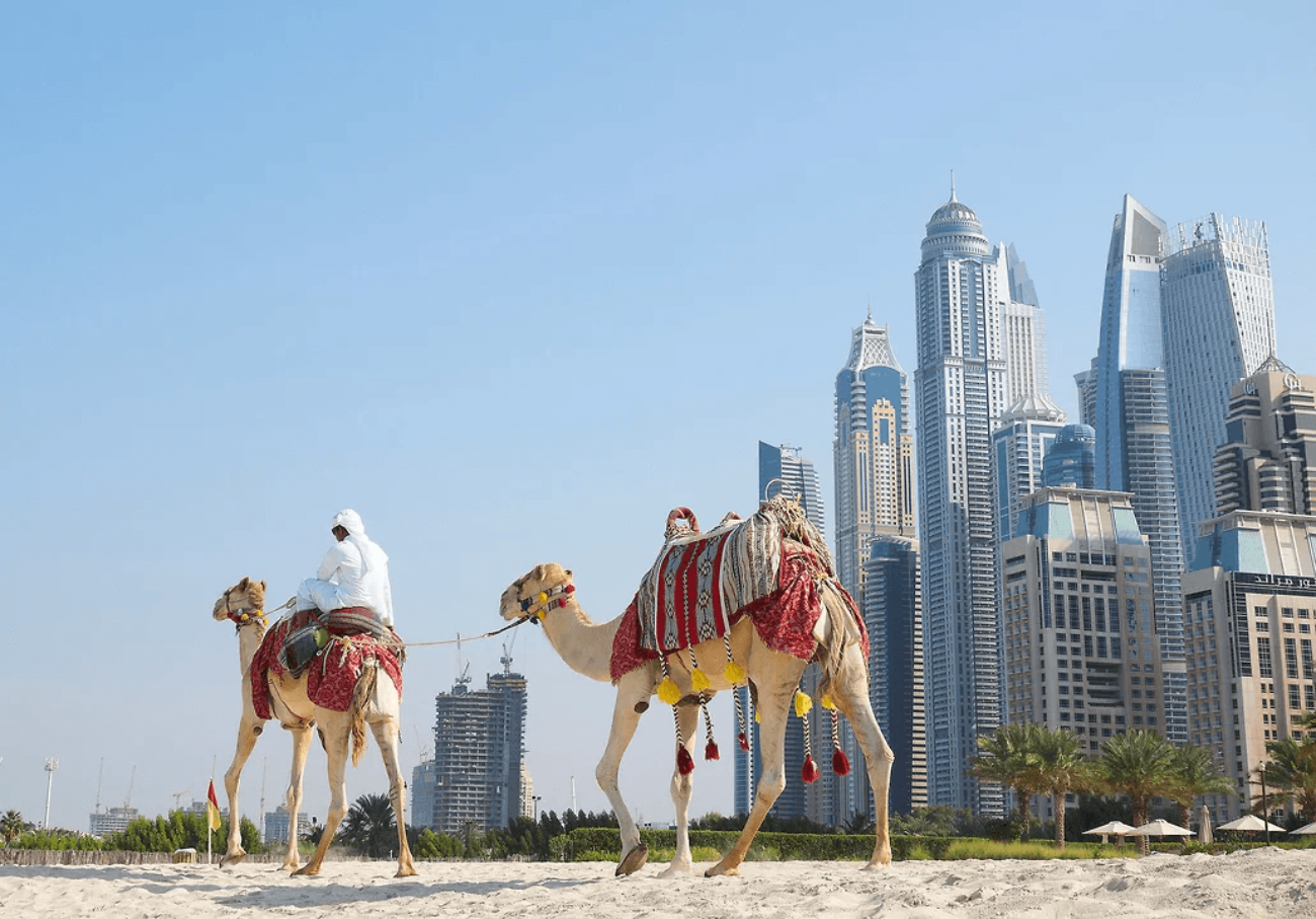 День 288: спрос россиян на недвижимость в ОАЭ вызвал интерес у отечественных застройщиков