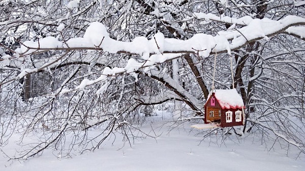 Вы точно ничего не пропустили