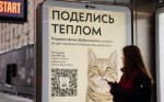 СБП и Affect согрели бездомных животных через QR-код