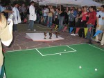 2006: Googlebots Playing Soccer At The GooglePlex