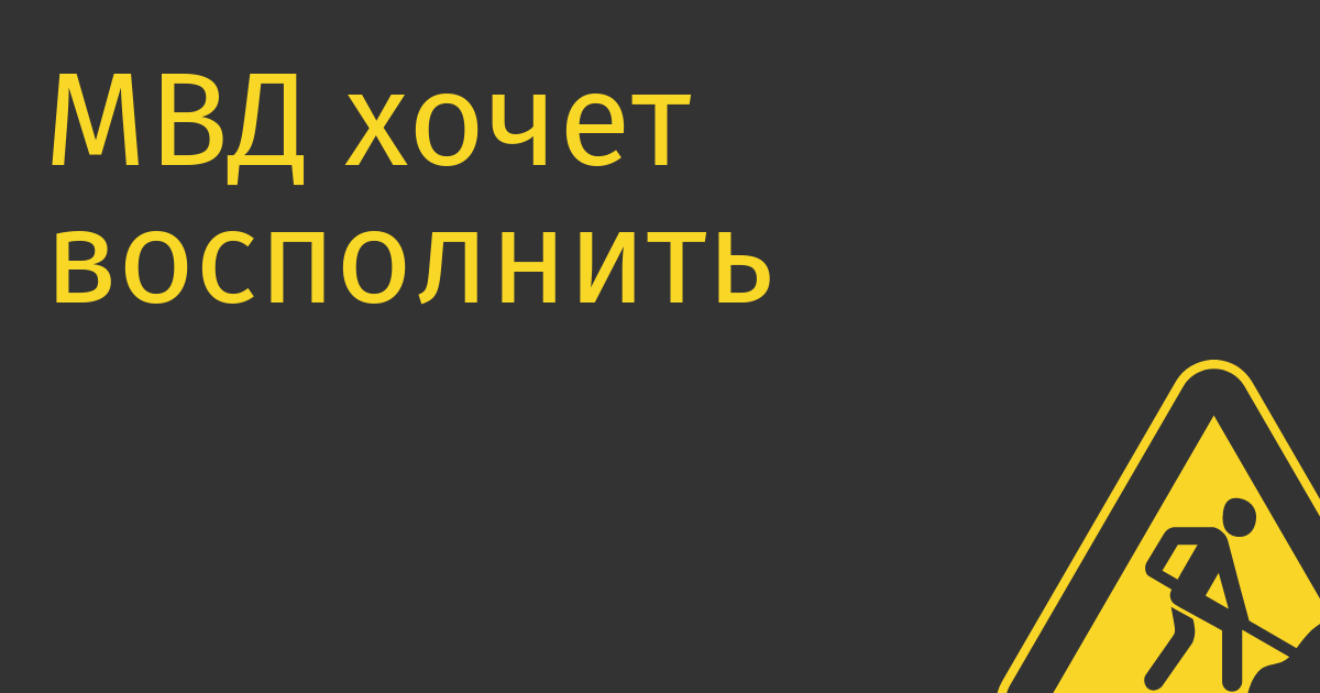 МВД хочет восполнить дефицит IT-специалистов за счет мигрантов