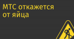 МТС откажется от яйца в логотипе