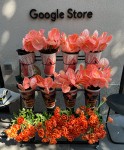 Google NYC Store Gave Away Free Flowers For Pixel 7a Launch