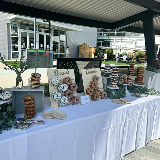 Fancy Donuts At The GooglePlex