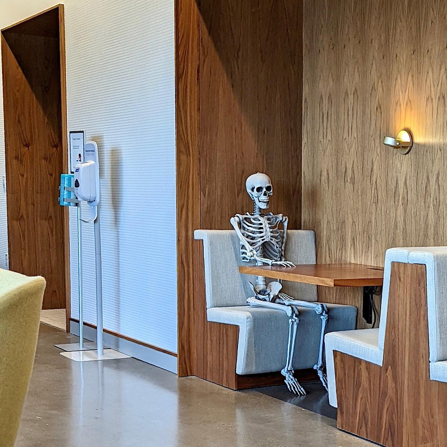 Skelton Sitting In Google Kirkland Cafe