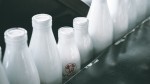 Danone и PepsiCo возглавили рейтинг лучших переработчиков молока в России