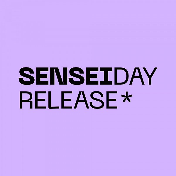 SenseiDay Release – митап про инструменты и практики продаж в CRM