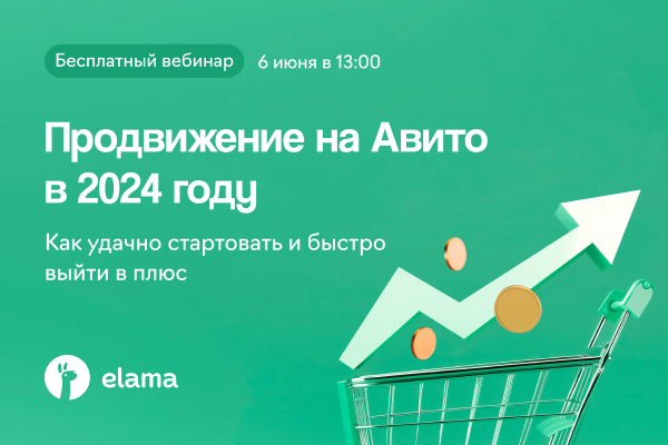 Продвижение на Авито в 2024 году: как удачно стартовать и быстро выйти в плюс