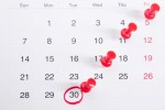 В России предложили продлить налоговый режим для самозанятых после 2028 года