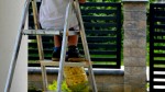 Подросткам с 14 лет разрешили работать на выходных во время летних каникул