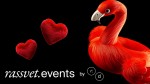 Rassvet.digital запускает event-агентство