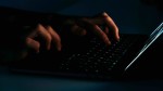 Интернет-пираты выбирают .ru: доменная зона лидирует по числу новых сайтов
